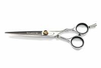 Парикмахерские ножницы прямые 2BA Lizard 6.0